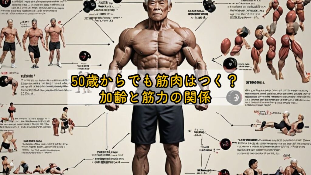 50歳からでも筋肉はつく?加齢と筋力の関係