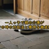一人っ子で親の介護が遠方の時の対処法と費用を徹底解説