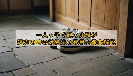 一人っ子で親の介護が遠方の時の対処法と費用を徹底解説